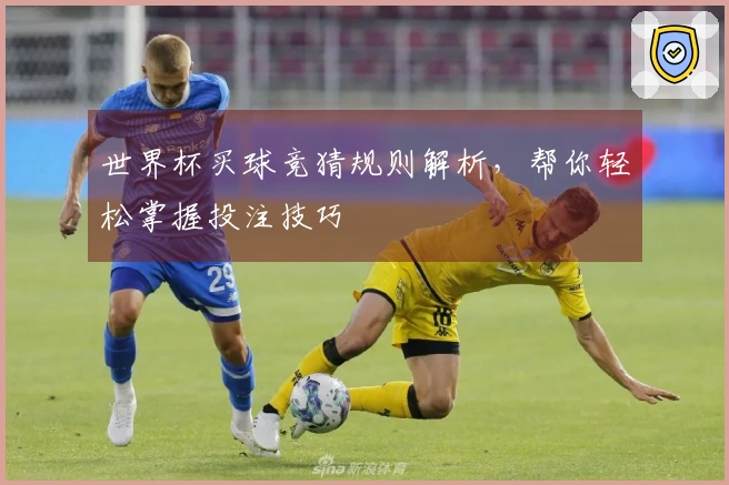 世界杯买球竞猜规则解析，帮你轻松掌握投注技巧