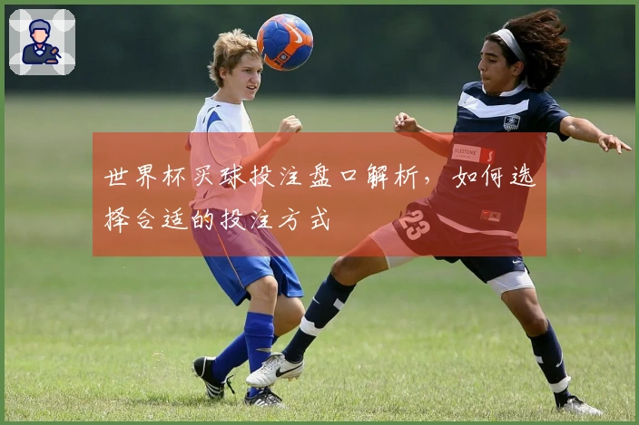 世界杯买球投注盘口解析，如何选择合适的投注方式