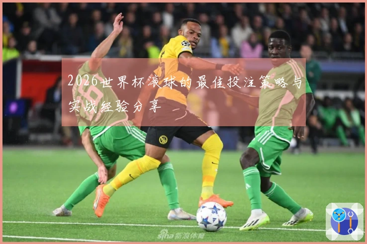 2026世界杯滚球的最佳投注策略与实战经验分享