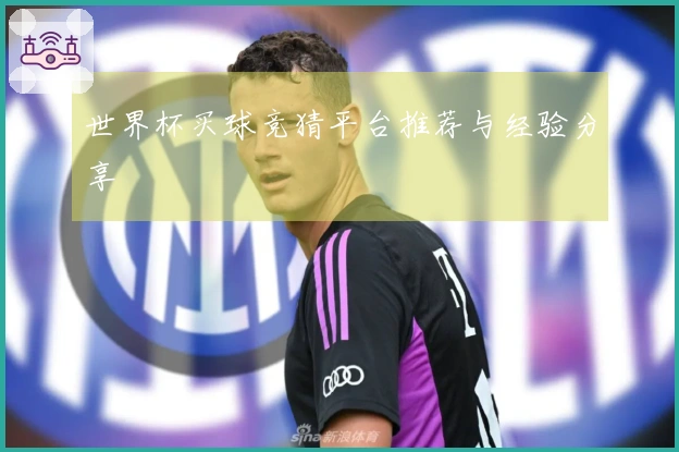 世界杯买球竞猜平台推荐与经验分享