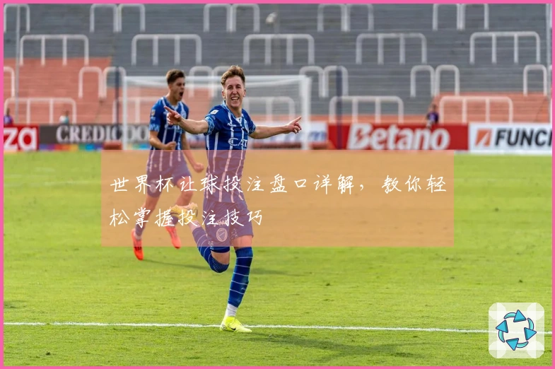 世界杯让球投注盘口详解，教你轻松掌握投注技巧